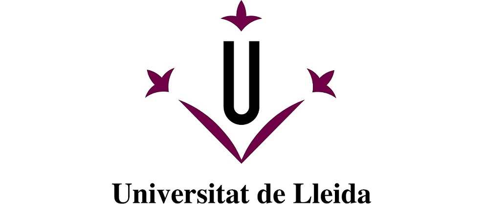 We are finalising a contract on a double training for IT engineers from the University of Lleida (UdL)